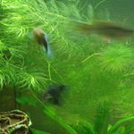 Profile Picture of Julia Sonntag (@julia04friends) on Instagram