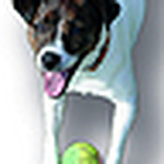 Tim Carter - Flickr Profile Picture of Tim Carter (@Max Carter1) on Flickr