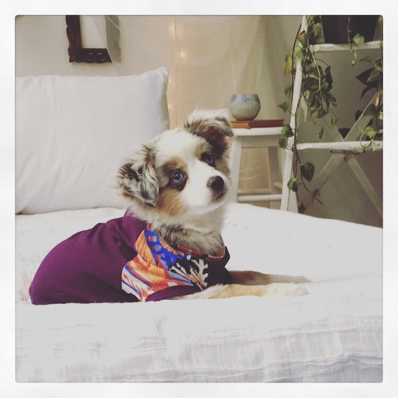 Profile Picture of Ruth Anderson (@phila_ra) on Poshmark