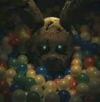 Profile Picture of Brandon Batz (@brandon.batz.507) on Facebook