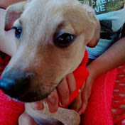 Profile Picture of Yolanda Blas Caurino (@yolandablascaurino74) on Youtube