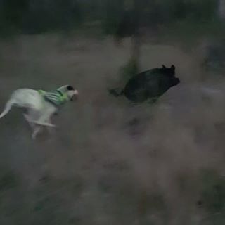 Profile Picture of Jason Fordham (@jason.fordham.942) on Facebook