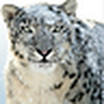 Profile Picture of Byrd66 (@byrd66) on Flickr