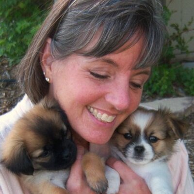 Profile Picture of Carol Crandall (@cgrzlybr) on Twitter