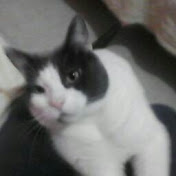 Profile Picture of Katherine Pearce (@katherinepearce554) on Youtube