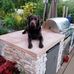 Profile Picture of Jimmy Mack (@jimmy.mack.798) on Facebook
