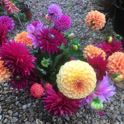 Profile Picture of Megan Clay (@MeganCl92721205) on Twitter