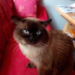 Michael Bovensmann - Instagram Profile Picture of Michael Bovensmann (@mich.ael2604) on Instagram