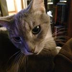 Profile Picture of Marlene Seal (@marlene.adams.1042) on Instagram