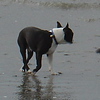 Profile Picture of Toby Howard (@tobyatlake) on Flickr
