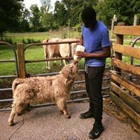 Profile Picture of Stephon Mcfall (@hammerhead32) on Pinterest