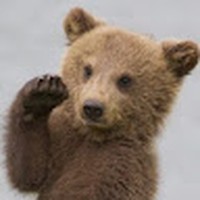 Profile Picture of Casey Benjamin (@casey-benjamin-12) on Quora
