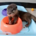 Profile Picture of Mark Shevock (@mark.shevock.7) on Facebook