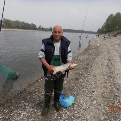 Armando Pagani - Twitter Profile Picture of Armando Pagani (@nick37733) on Twitter