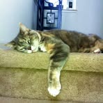 Profile Picture of Baron Fong (@baron.fong.9) on Facebook