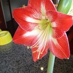 Leslie Stoddard - Instagram Profile Picture of Leslie Stoddard (@leslie.stoddard) on Instagram