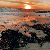 Profile Picture of Miranda Scales (@mirandascales199) on Youtube