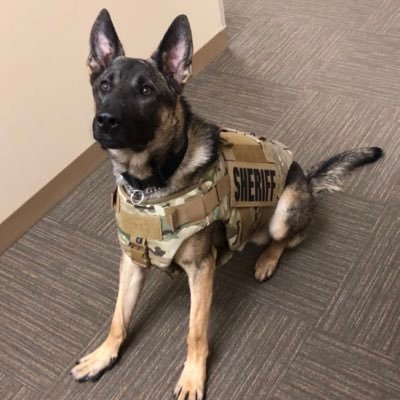 Profile Picture of Trent_key (@trentkey8) on Twitter