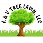 Profile Picture of Alex Hilario (@avtreelawn) on Instagram