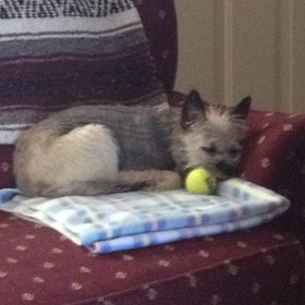 Profile Picture of Robert Crosby (@navyall) on Pinterest