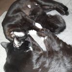 Profile Picture of Daniel Sullivan (@Daniel-Sullivan) on Facebook