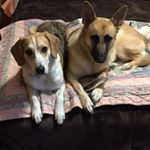 Profile Picture of Scott Scholle (@scottscholle) on Instagram