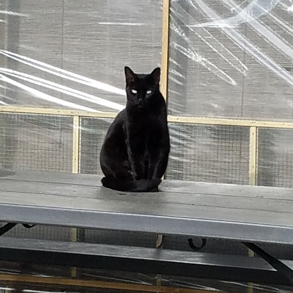 Profile Picture of Christa Melancon gates (@cmelancongates) on Poshmark