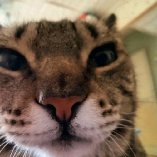 Profile Picture of wayne_hell (@wayne_hell) on Tiktok