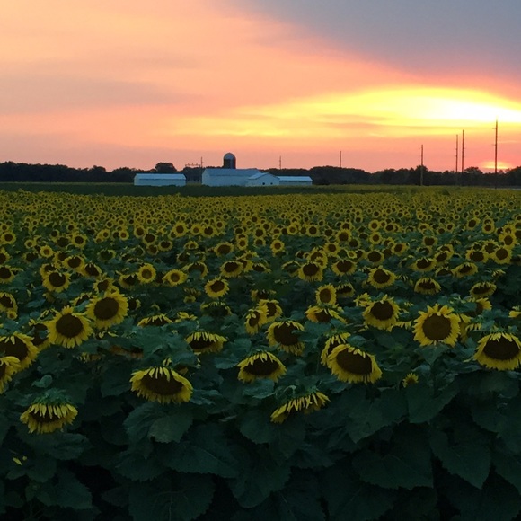 Monica Rolbiecki - Poshmark Profile Picture of Monica Rolbiecki (@rolbiemr) on Poshmark