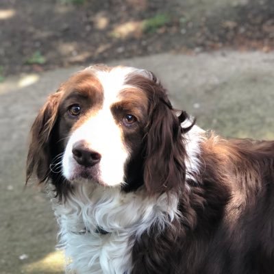 Profile Picture of Jay Moore (@JayMoor75726228) on Twitter