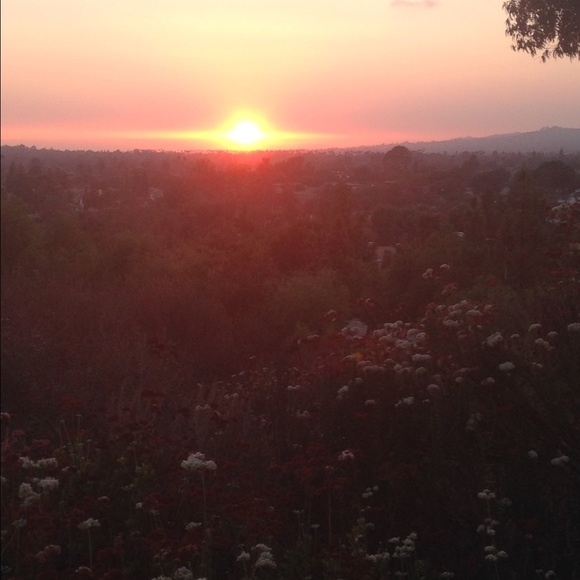 Profile Picture of Renee Fuehrer (@renee4vm) on Poshmark