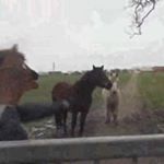 Profile Picture of Andy Fabian Portillo (@andyf.villatoro) on Instagram