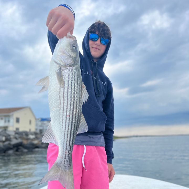 Profile Picture of Luke (@luke.albert) on Tiktok