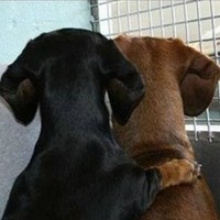 Profile Picture of Sandy Oswald (@sandy-oswald-6) on Quora