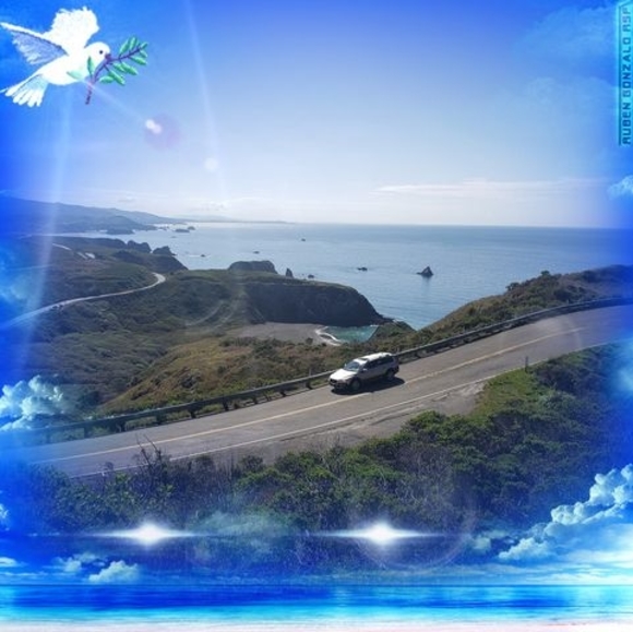 Profile Picture of Ariel Melendez (@oscarrmlz) on Poshmark