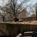 Profile Picture of Michael Foshay (@michaelfoshay) on Pinterest