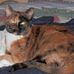 Profile Picture of Debra Steinmann Mansell (@debra.mansell.5) on Facebook
