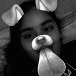 Profile Picture of Emily (@emmie_littrell) on Instagram