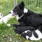 Profile Picture of Peter Harbach (@peter.harbach.7) on Facebook