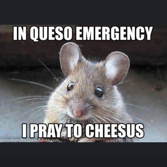 Profile Picture of Valerie Bisignani (@vbisig) on Poshmark