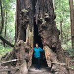 Profile Picture of Robin Brady (@robin_s_brady) on Instagram