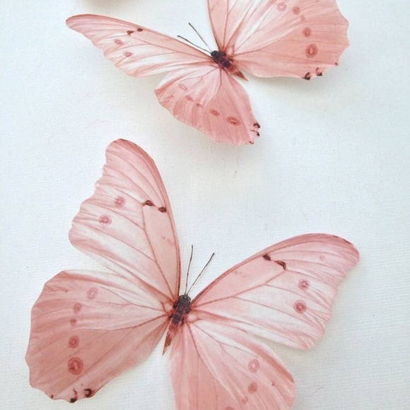 Profile Picture of Madison Tabone (@madisontabone) on Poshmark