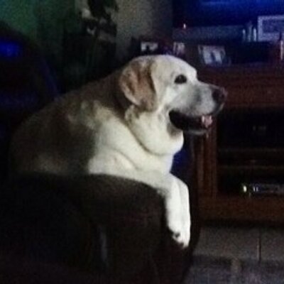 Profile Picture of Jackie Phillips (@jbf4371) on Twitter