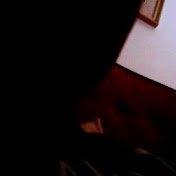 Profile Picture of Guillermo Barroso Berjano (@guillermobarrosoberjano7366) on Youtube