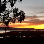 Profile Picture of Brianna Tillson (@keshababy1000) on Instagram