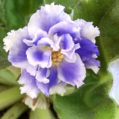 Profile Picture of Christopher Reagan (@Pixtopher) on Twitter