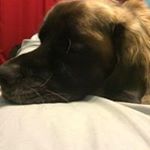 Profile Picture of James Jasperson (@jaspersonjames) on Instagram