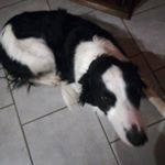 Profile Picture of Jerome Gaillard (@jerome.gaillard.543) on Instagram