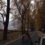 Profile Picture of siona.h1 (@siona.h1) on Instagram