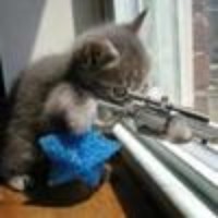 Profile Picture of Lin Cui (@lin-cui-3) on Quora